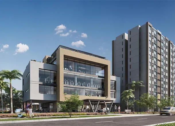 Tarjeta Manglar ciudad mallorquin