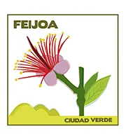 Logo CIUDAD VERDE - FEIJOA 