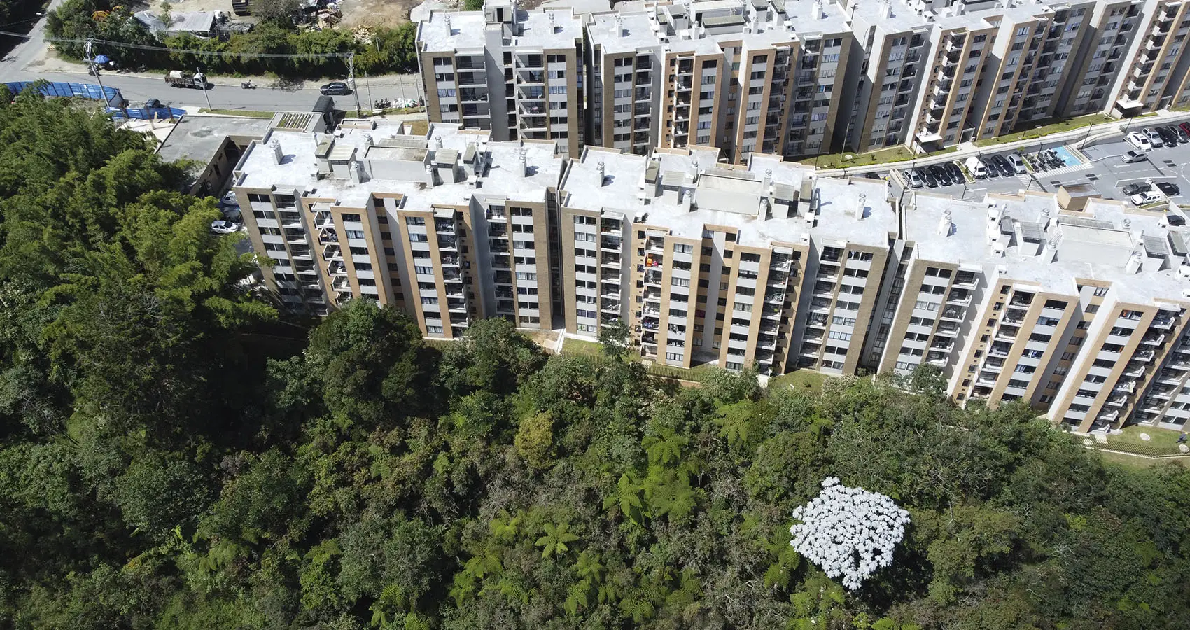 Foto del proyecto Bosque Ceibal en avance de obra Febrero de 2026