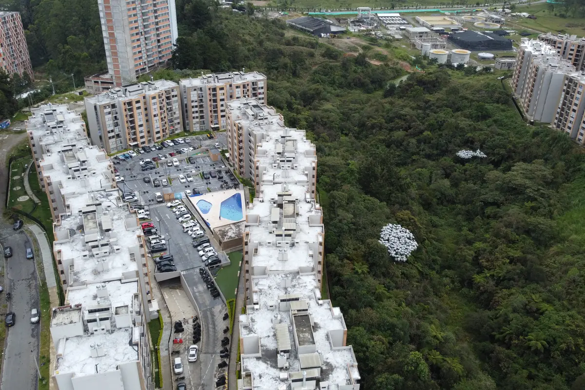 Foto del proyecto Bosque Ceibal en avance de obra julio de 2026