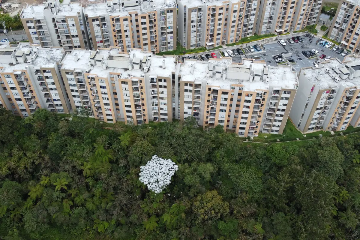 Foto del proyecto Bosque Ceibal en avance de obra julio de 2026